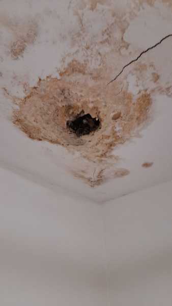 To knock on my upstairs neighbours door at this time