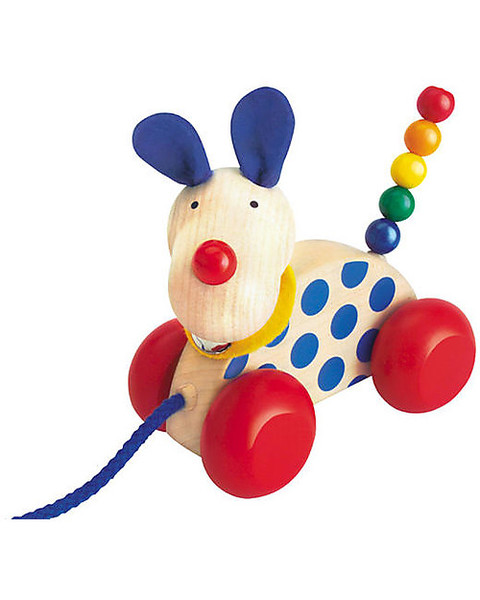 Dog for a family with 5 year old child