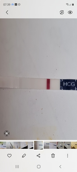 5/6dpo who's with me?
