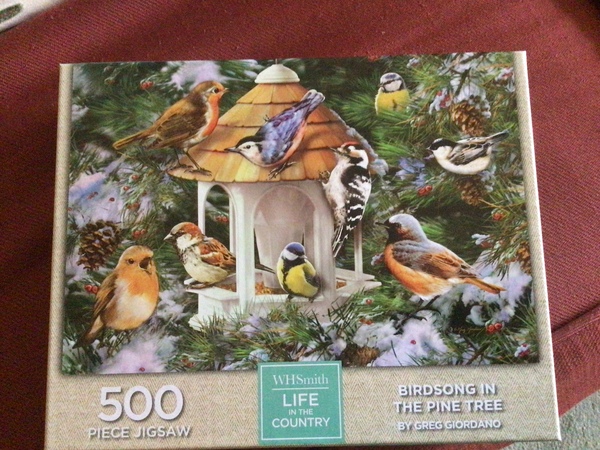 Found a v nice 500 piece jigsaw in Smiths