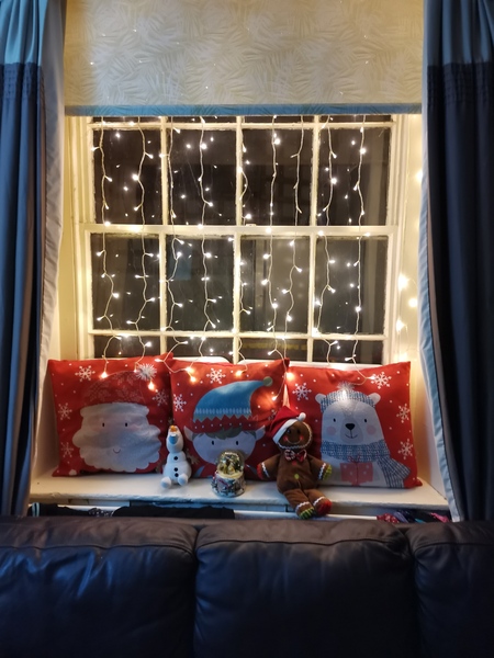 Ideas for Christmas window dressing