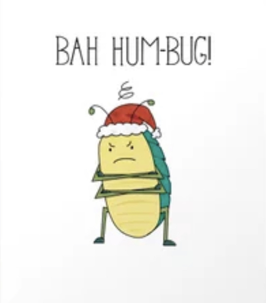 Could Father Christmas find it in his heart to…