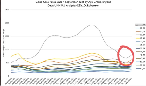 Data, Stats, Daily Numbers started 14th November 2021