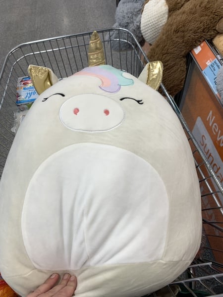 Thread 25 - The one where 8 inches is big enough