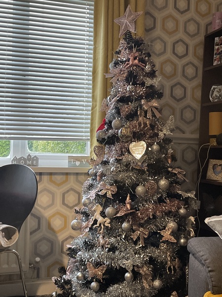 Are you one of this people with a perfect looking Christmas tree?