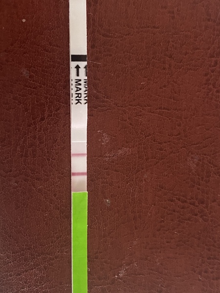 Dtd 1 day before positive OPK could I get pregnant