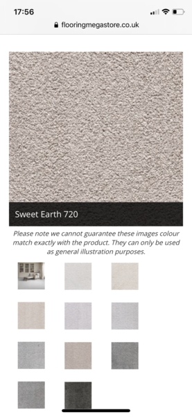 What paint colour goes with this carpet?