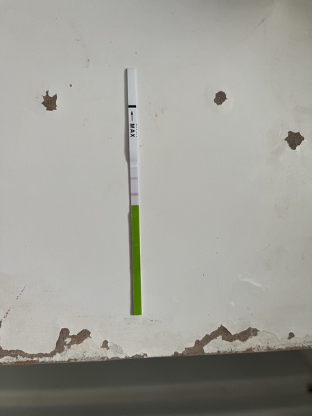 OPK negative or?