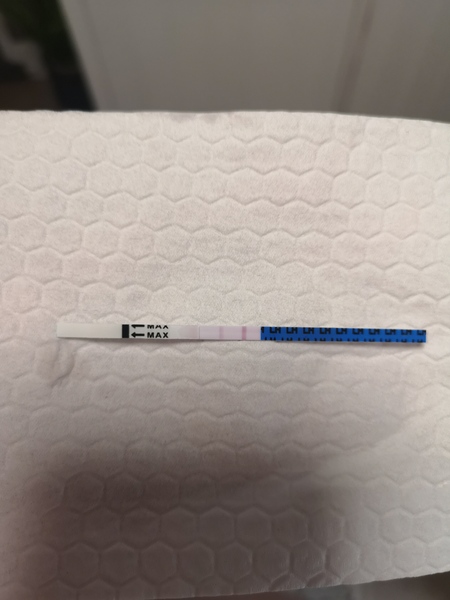 Ovulation after miscarriage?