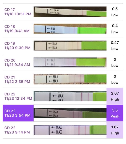 Anyone make sense of this chart?