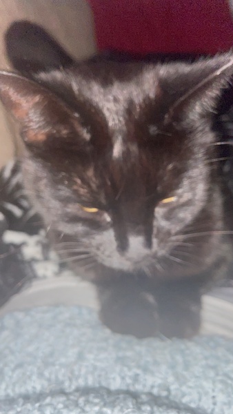 I've decided to keep him. What can I say...