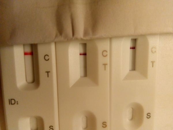 Can anyone see a line?