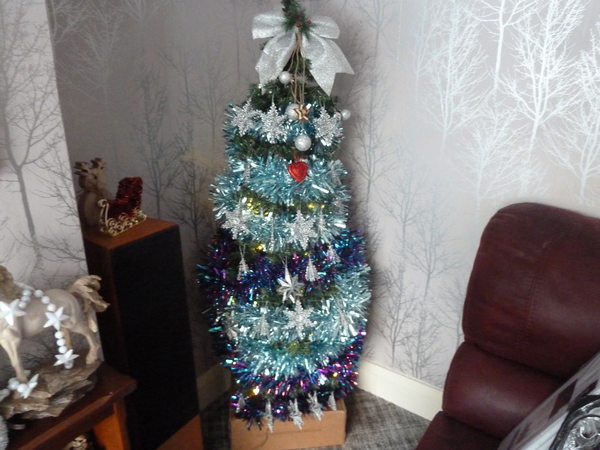 Real or fake Christmas trees ? Lighthearted
