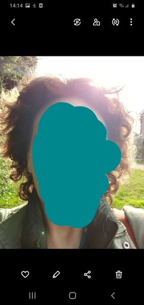 Not one single photo on the internet of the normal hair cut I want?