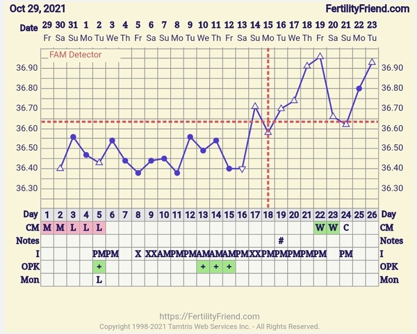 Tested OPK pregnancy theory....8 dpo.