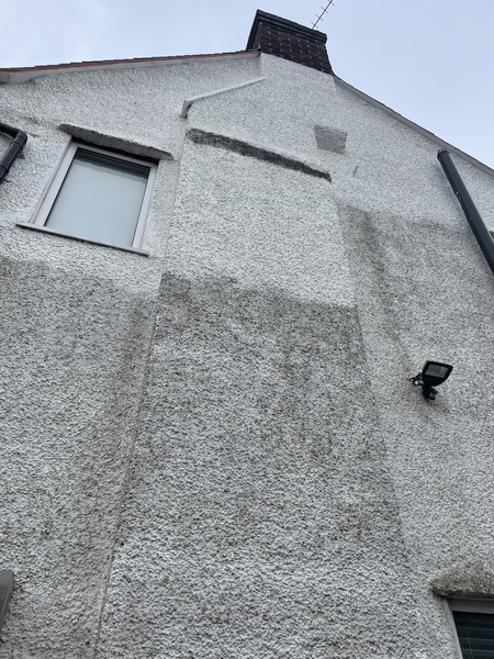 Help! Damp!