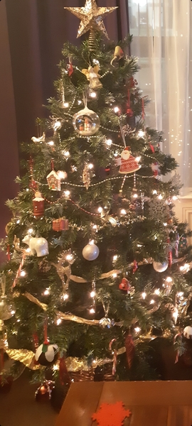 Tree lights 100 per ft