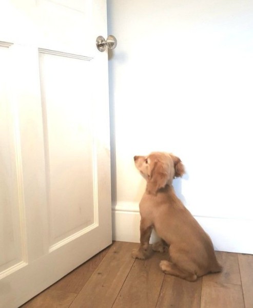 Why won't he SHUT UP?!
