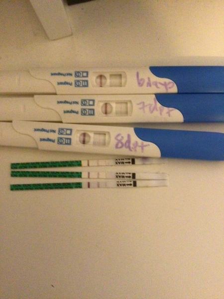 IVF/FET October/November 21 part 2