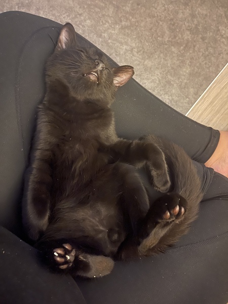 I've decided to keep him. What can I say...