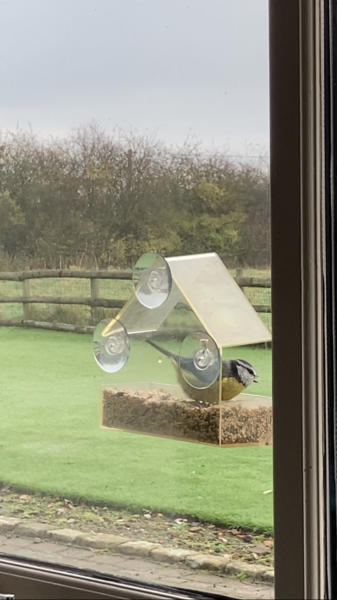 Neighbours & bird feeders