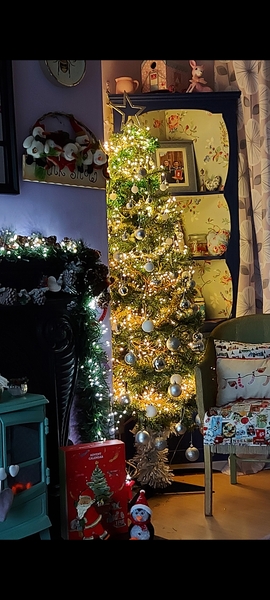 Who has their tree up?