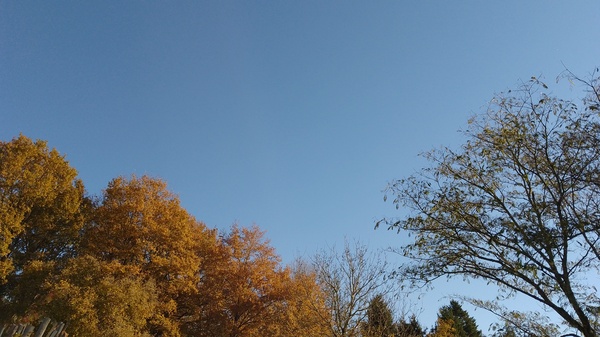 Morning all! What's everyone doing today?