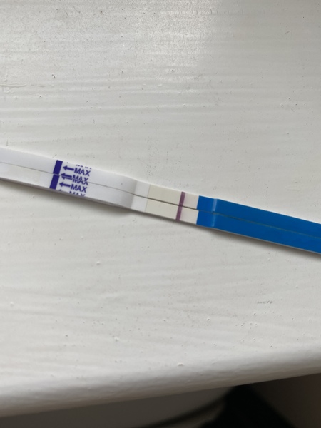 TTC - pregnancy test results