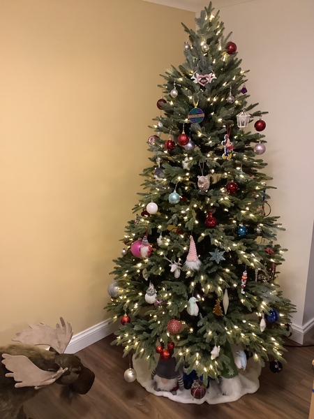 Who has their tree up?