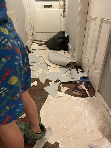 Extension Thread 2021.....aka "where's the bloody builder?"