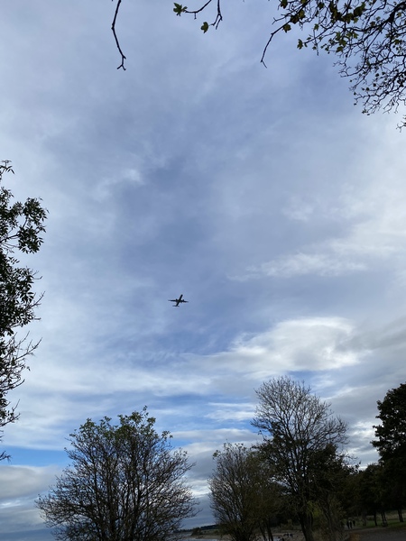 Any flightradar 24 geeks?