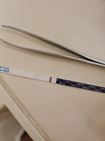 5/6dpo who's with me?