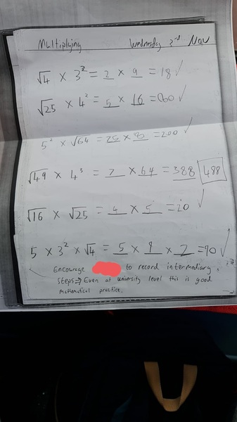 Y1 child very gifted at Maths