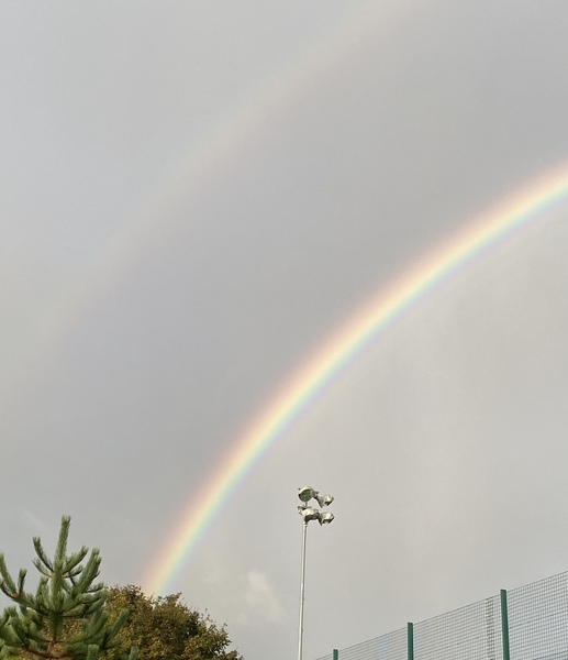 Shower tugging, implantation nosebleeds & a pocket full of rainbows🌈TTC bus 49