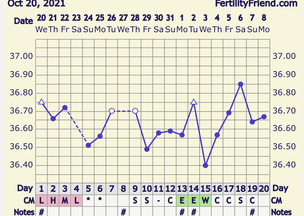 Entering the TWW with BBT charts #2
