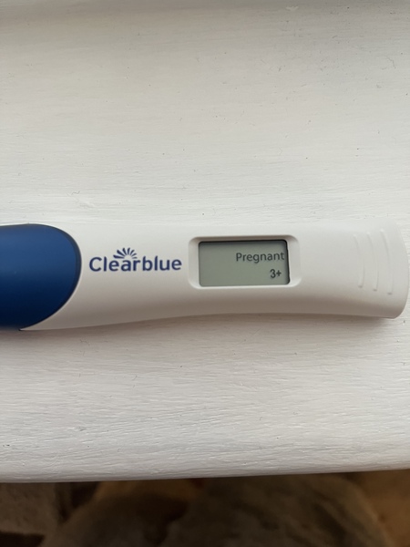 Due July/August 2022