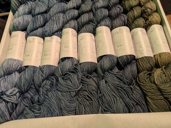 What would you knit with this yarn set?