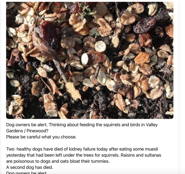Should I sell reindeer food at my upcoming Xmas Market.