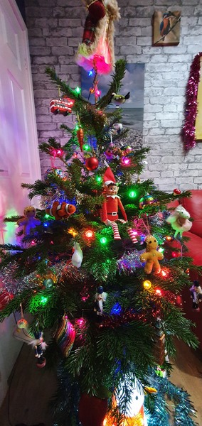Show us your tree!