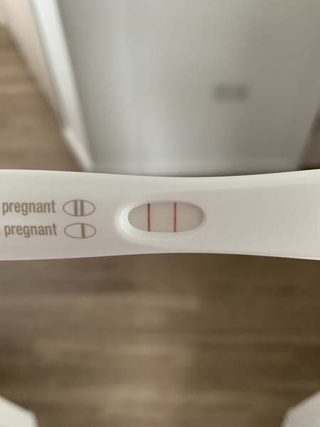 Due July/August 2022