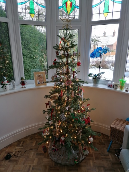 Who has their tree up?