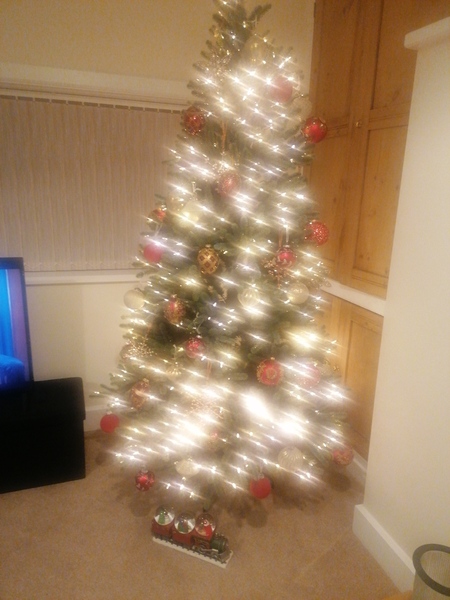 Come and talk to me about Balsam Hill Christmas Trees