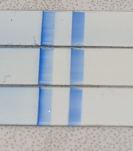 CB Weeks indicator - any success stories?