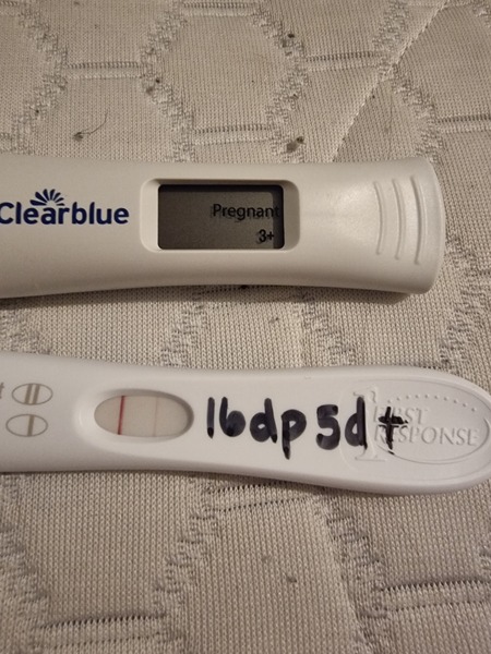 IVF/FET October/November 21 part 2