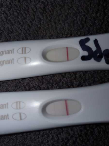 need squinter eyes- FET 4dp6dt evening urine