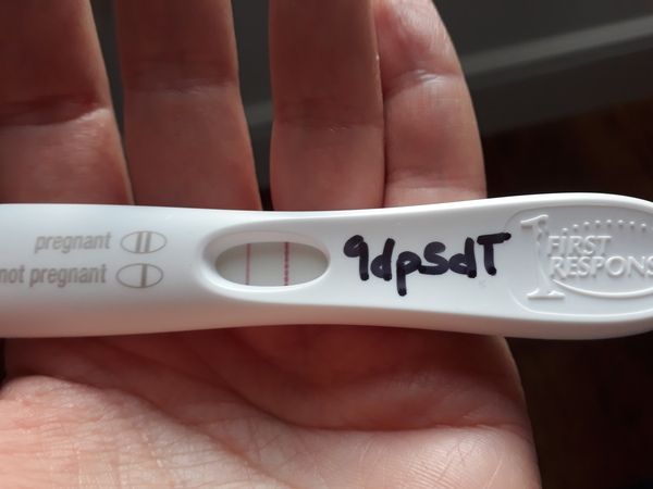 FET November/ December