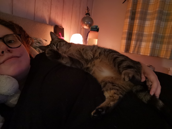 To wonder what your cat/s is called