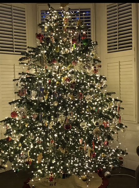 Are you one of this people with a perfect looking Christmas tree?