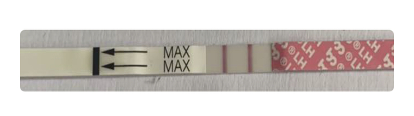 Is this a positive OPK?