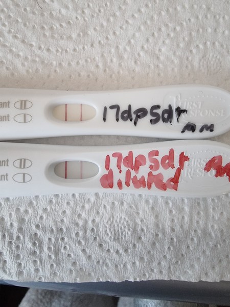 IVF/FET October/November 21 part 2